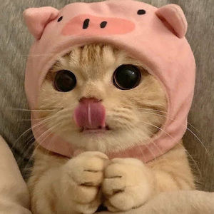 Meet your Posher, Shahad